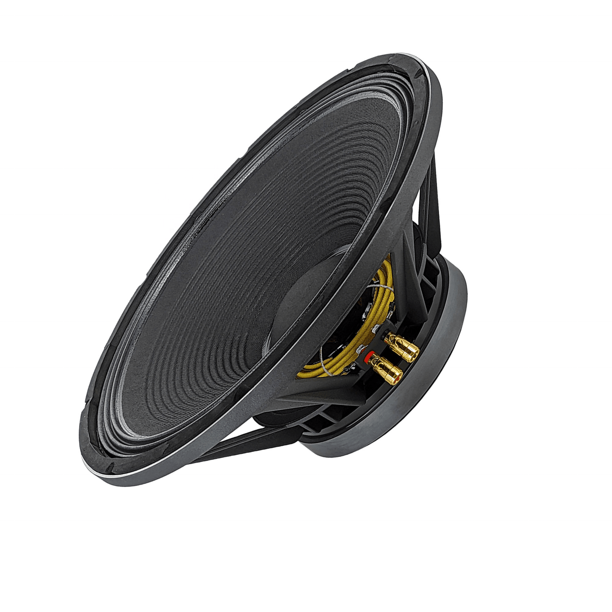 Derwel 15 inch naked speaker Kenya side profile — 8 ohm raw driver for stage monitors and PA systems
