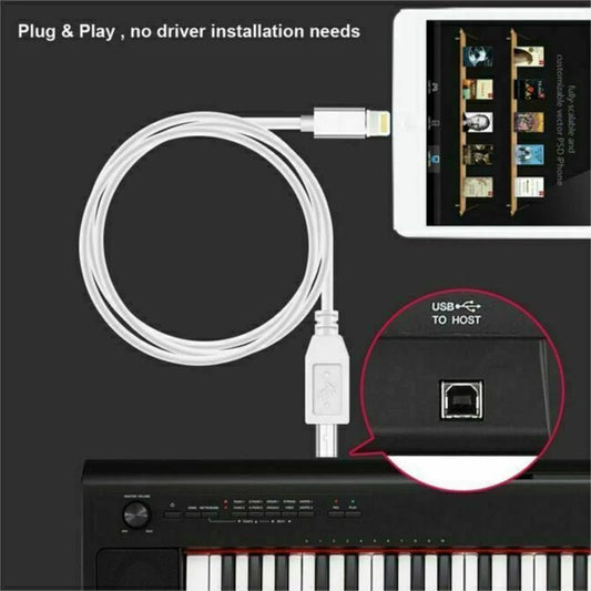 1/2PCS Lightning to Type-B MIDI Keyboard Converter Cable 1M – For iPhone iPad iOS - ZAMAR AUDIO SOLUTIONS