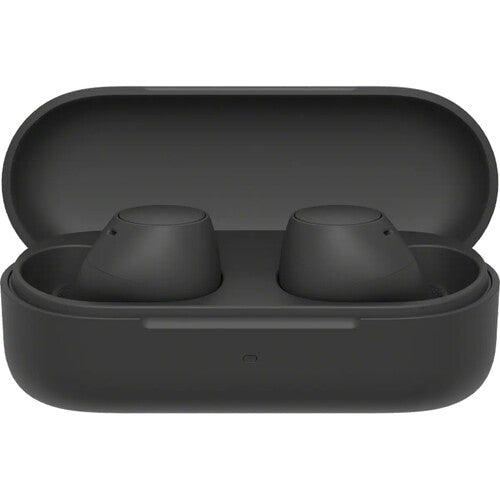 Sony WF-C510 Truly Wireless Earbuds for Music and Calls
