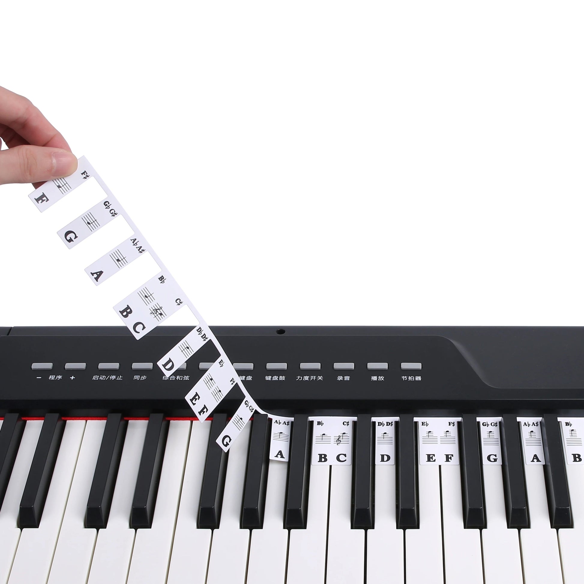 88 Keys Piano Keyboard Note Labels – Silicone Piano Key Stickers Guide for Electronic Organ, Digital Piano, Beginner Note Labels - ZAMAR AUDIO SOLUTIONS