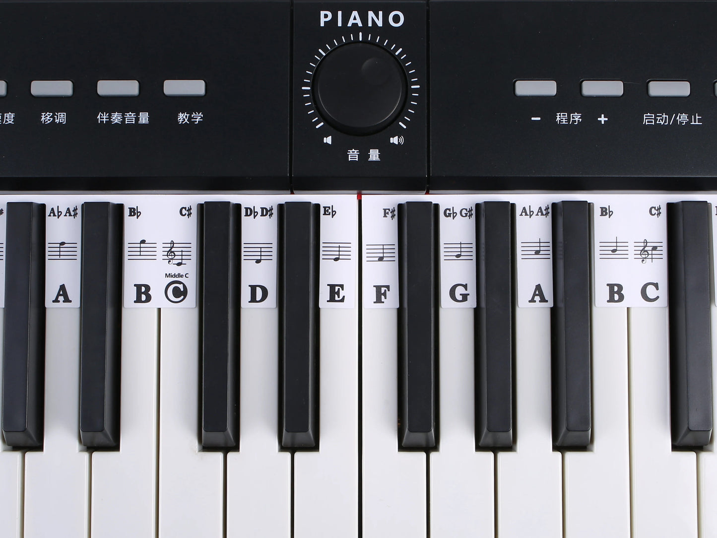 88 Keys Piano Keyboard Note Labels – Silicone Piano Key Stickers Guide for Electronic Organ, Digital Piano, Beginner Note Labels - ZAMAR AUDIO SOLUTIONS