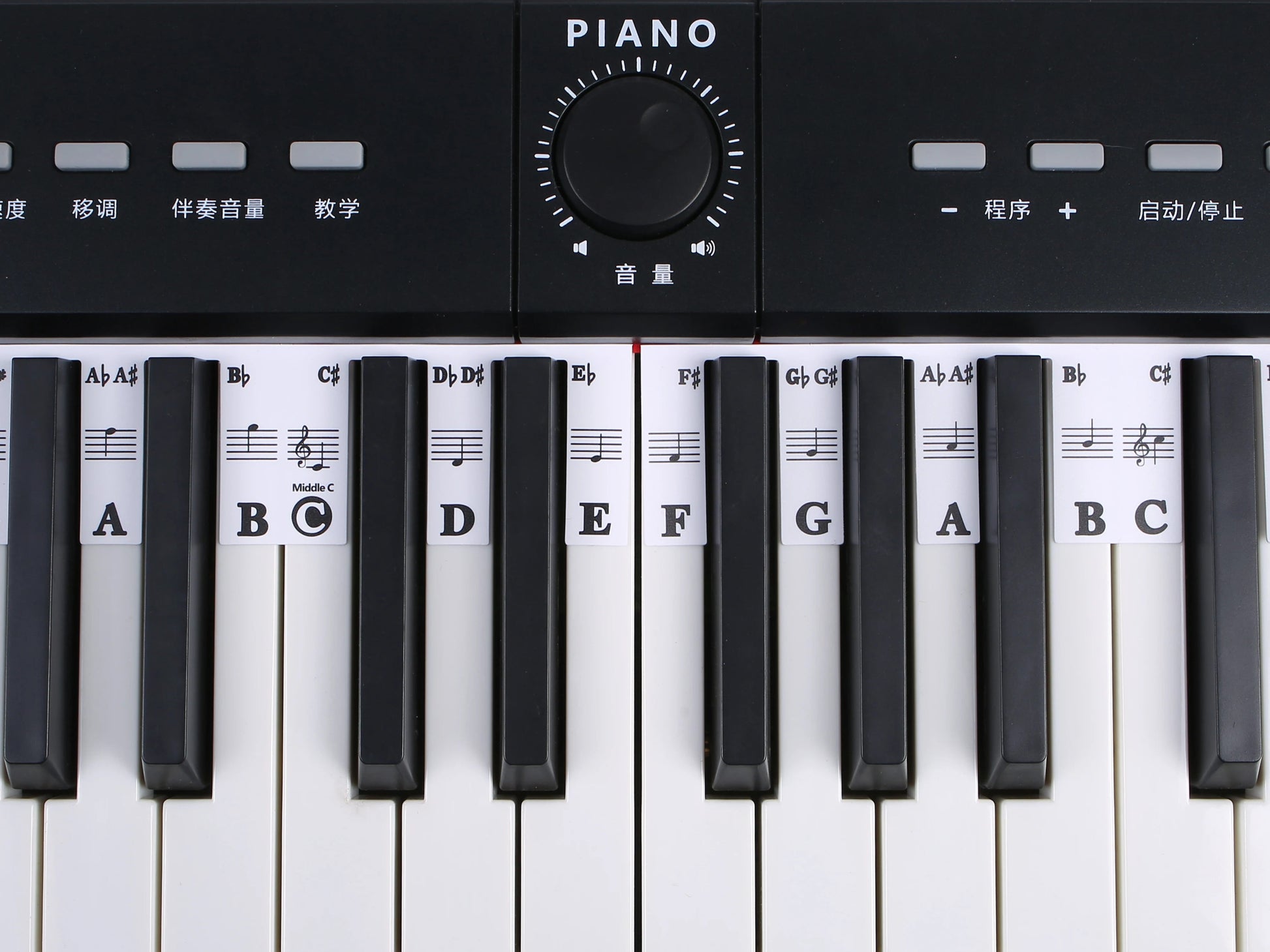 88 Keys Piano Keyboard Note Labels – Silicone Piano Key Stickers Guide for Electronic Organ, Digital Piano, Beginner Note Labels - ZAMAR AUDIO SOLUTIONS