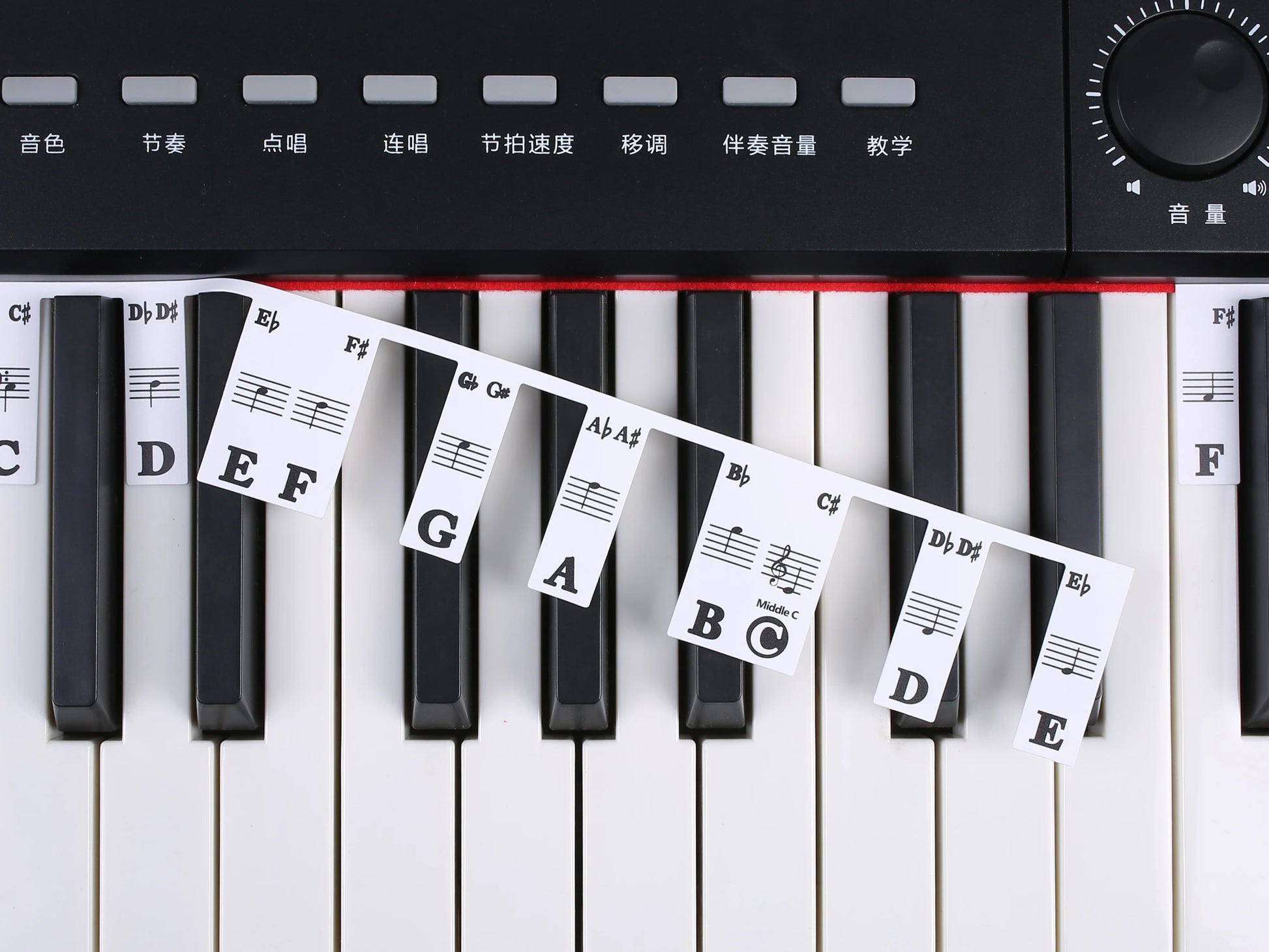 88 Keys Piano Keyboard Note Labels – Silicone Piano Key Stickers Guide for Electronic Organ, Digital Piano, Beginner Note Labels - ZAMAR AUDIO SOLUTIONS
