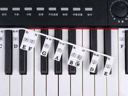 88 Keys Piano Keyboard Note Labels – Silicone Piano Key Stickers Guide for Electronic Organ, Digital Piano, Beginner Note Labels - ZAMAR AUDIO SOLUTIONS