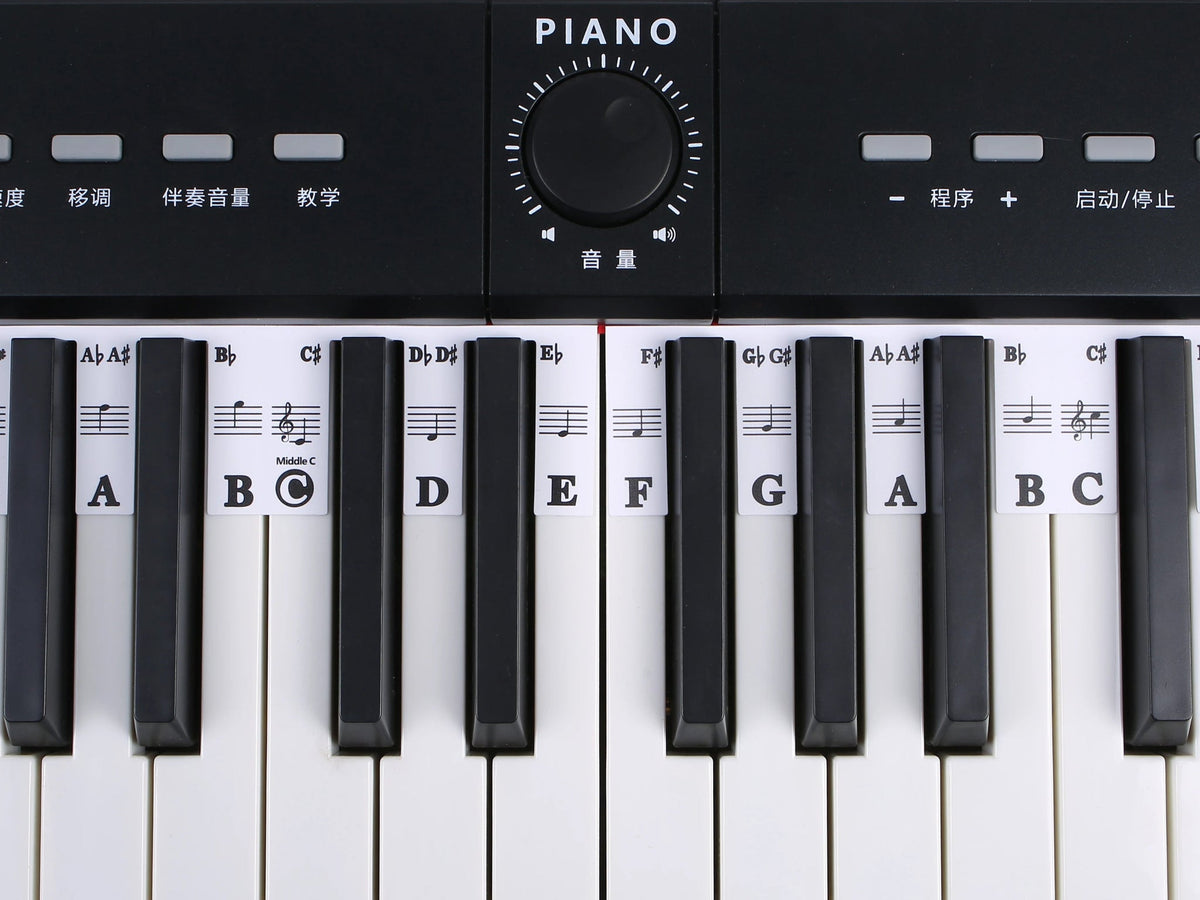 88 Keys Piano Keyboard Note Labels – Silicone Piano Key Stickers Guide for Electronic Organ, Digital Piano, Beginner Note Labels - ZAMAR AUDIO SOLUTIONS