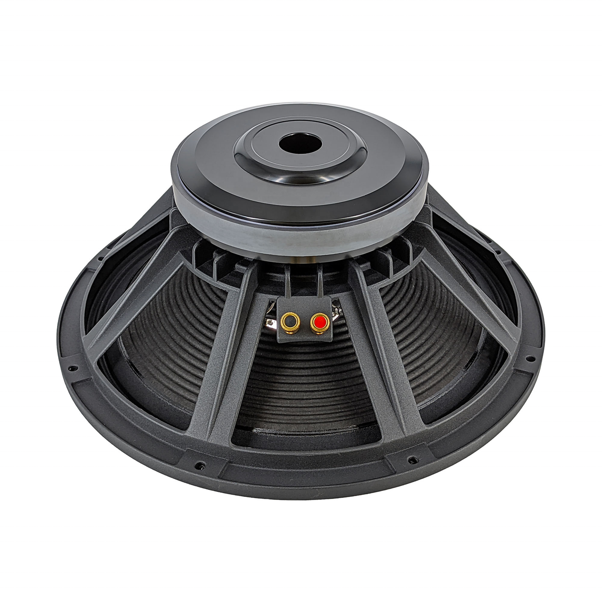 Derwel 15" naked speaker raw driver — Kenya