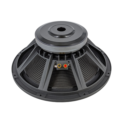 Derwel 15" naked speaker raw driver — Kenya