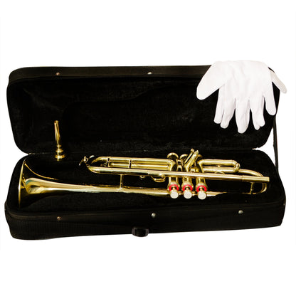 Cornet — Brass Wind Instrument (Student/Professional Models), Nairobi Delivery