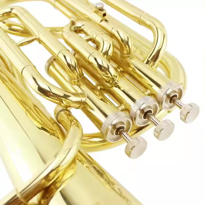 Baritone — Brass Wind Instrument (Student/Professional Models), Nairobi Delivery