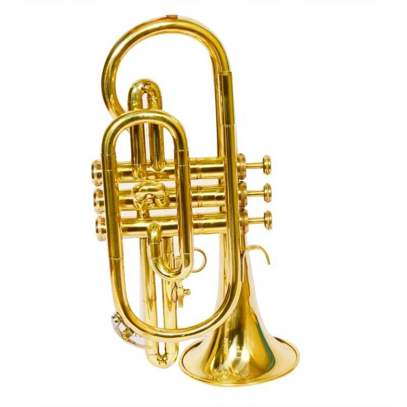 Cornet — Brass Wind Instrument (Student/Professional Models), Nairobi Delivery