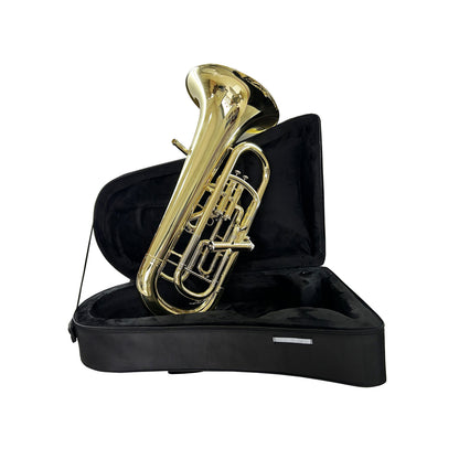 Euphonium — Brass Wind Instrument (Student/Professional Models), Nairobi Delivery