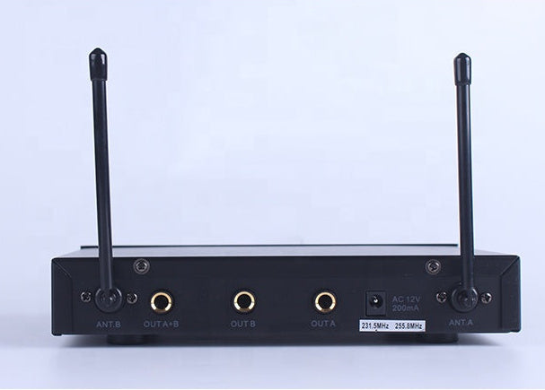 BNK BK801 — Dual Wireless Microphone System (2 Handheld, Stage & Church)