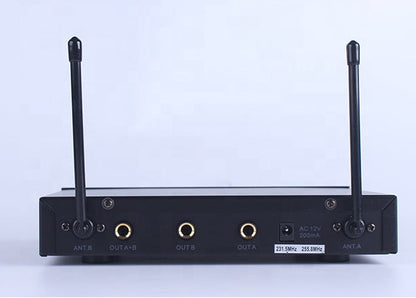 BNK BK801 — Dual Wireless Microphone System (2 Handheld, Stage & Church)