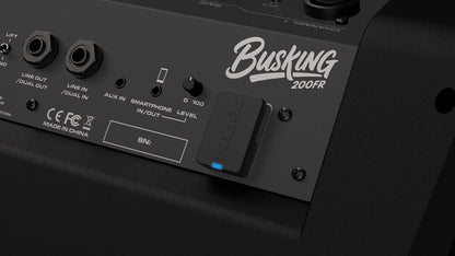 NUX Busking 200FR PA Kenya rear panel close-up with AUX In, Smartphone input, Level knob and wireless receiver