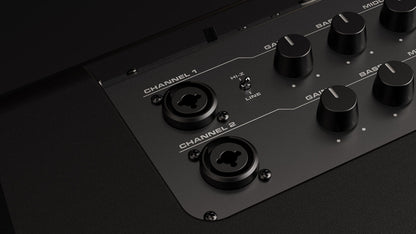 NUX Busking 200FR PA Kenya input panel close-up showing Ch1 and Ch2 XLR inputs and Hi-Z switch