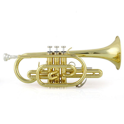 Cornet — Brass Wind Instrument (Student/Professional Models), Nairobi Delivery - ZAMAR AUDIO SOLUTIONS