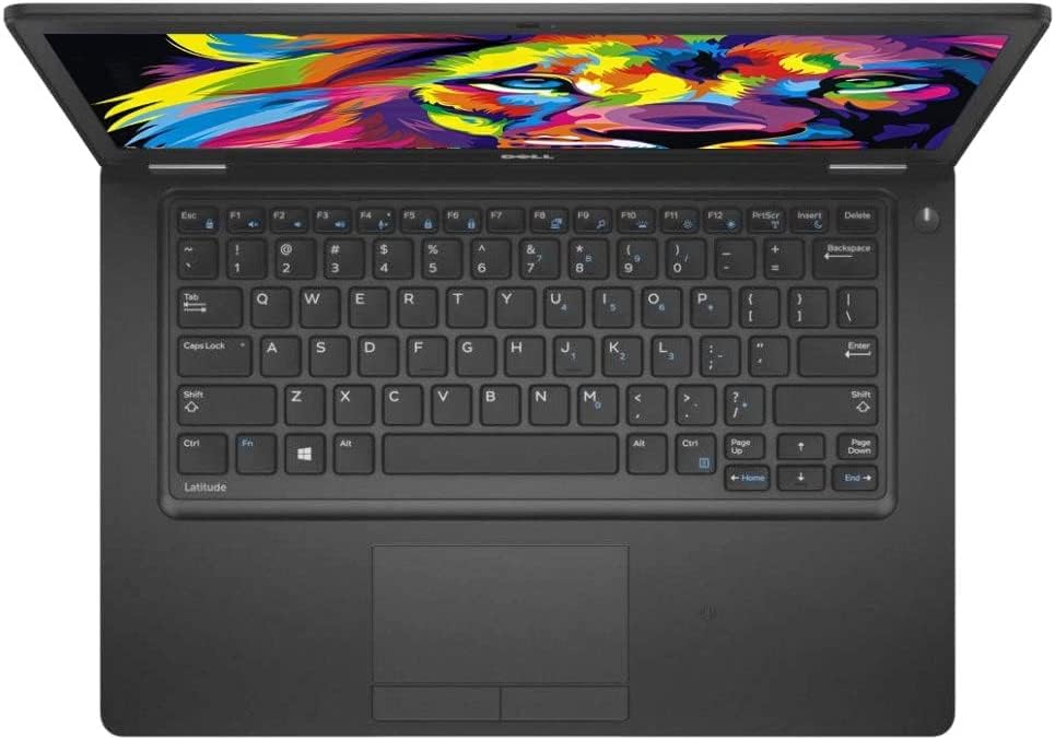 Dell Latitude 5480 Kenya top-down view showing full-sized keyboard, Latitude branding, large trackpad, and colorful display