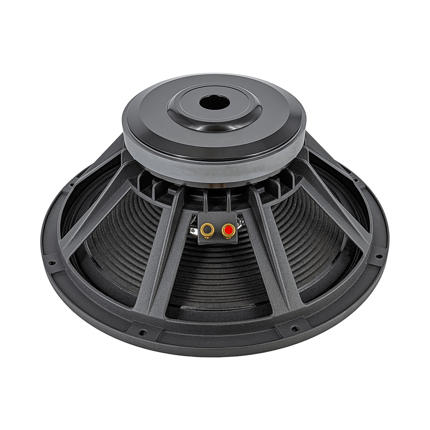 Derwel 15 inch naked speaker Kenya — raw PA driver front view showing cone and magnet assembly