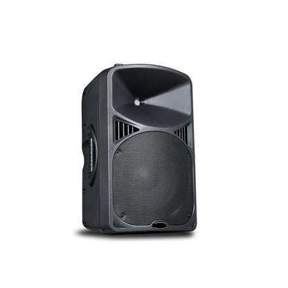 Enforcer EIV 15-inch PA speaker with plastic cabinet, front view — available in Kenya