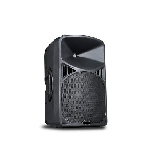 Enforcer EIV 15-inch PA speaker with plastic cabinet, front view — available in Kenya