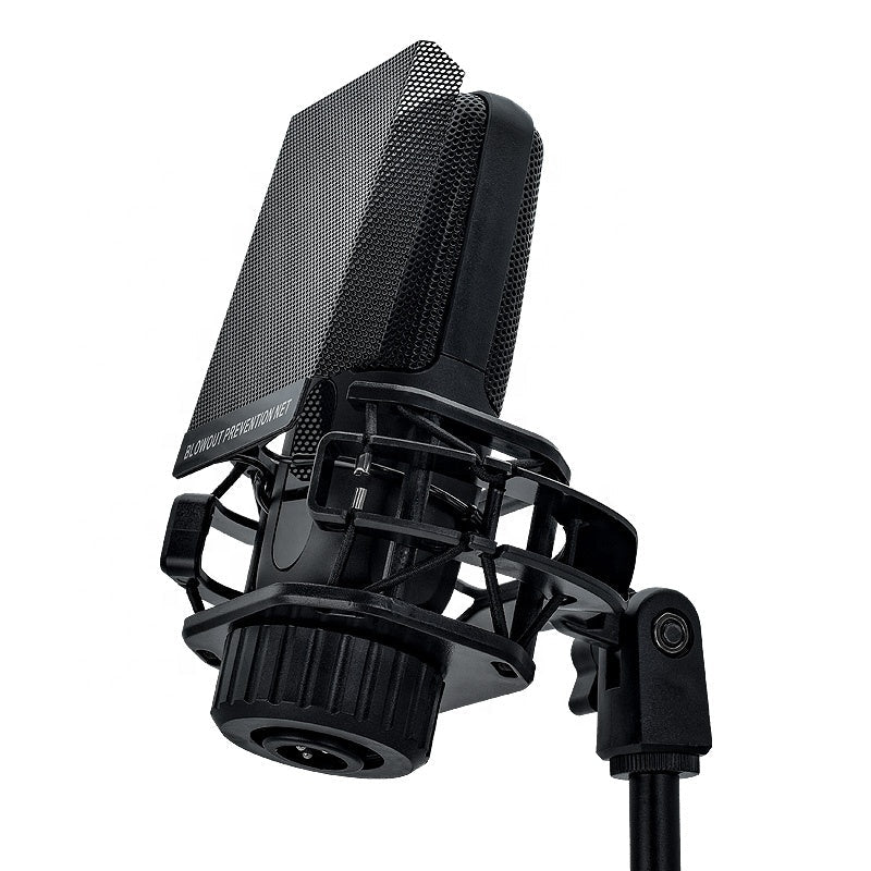 MR4 large-diaphragm studio condenser microphone front view