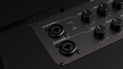 NUX Busking 200FR PA Kenya input panel close-up showing Ch1 and Ch2 XLR inputs and Hi-Z switch