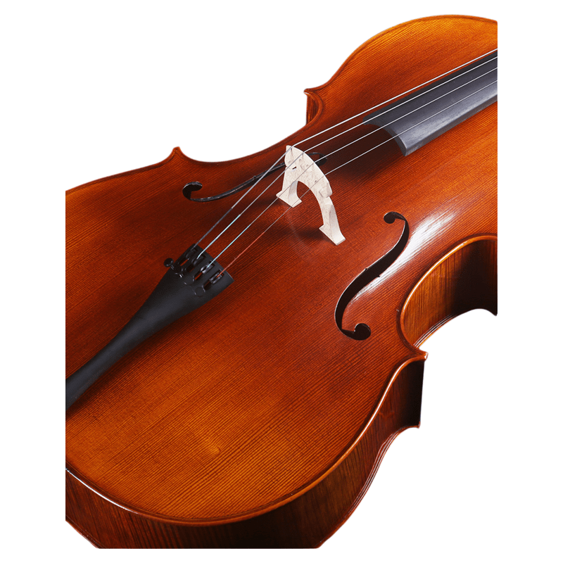 Primavera cello Kenya full size 4/4 with bow and padded case, student string instrument