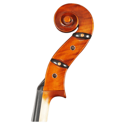 Primavera cello Kenya ebony fingerboard and scroll detail, intermediate orchestral instrument