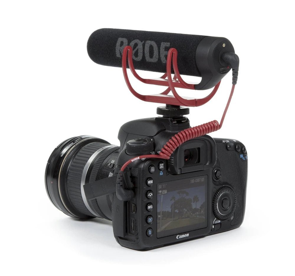 RODE VideoMic GO On-Camera Shotgun Microphone – Super-Cardioid Directional Mic for Canon, Nikon, and SLR Cameras - ZAMAR AUDIO SOLUTIONS