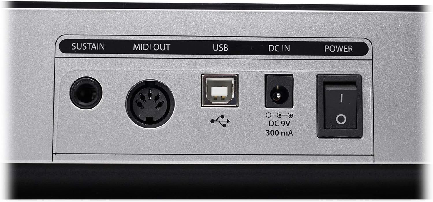 Samson Graphite 49 Kenya rear connectivity panel close-up: SUSTAIN jack, MIDI OUT, USB-B port, DC 9V 300mA, and power switch