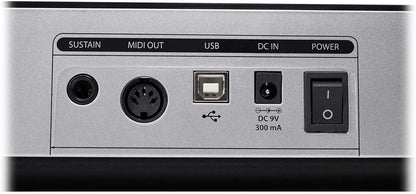 Samson Graphite 49 Kenya rear connectivity panel close-up: SUSTAIN jack, MIDI OUT, USB-B port, DC 9V 300mA, and power switch