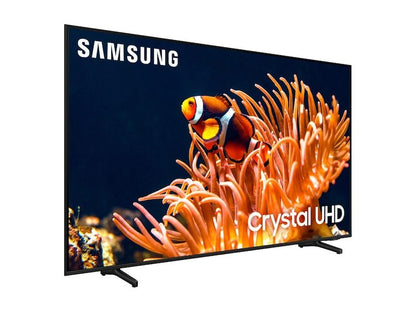 Samsung 65DU8000 Kenya — angled left front view showing Crystal UHD display with clownfish demo content on stand