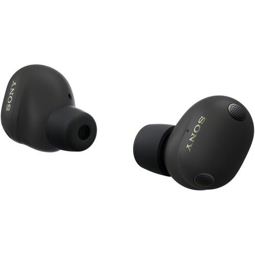 Sony WF-1000XM6 Kenya pair of black earbuds showing ear tips and inner sides