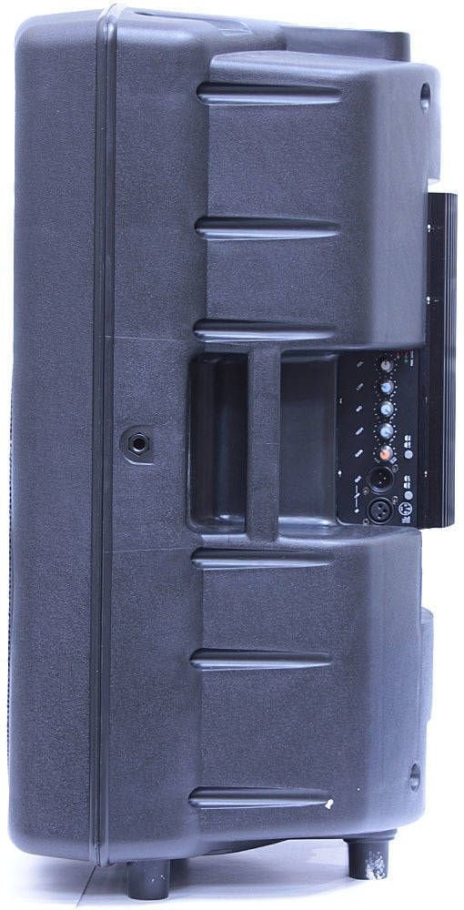 Soundking FP215A-1 Kenya side and rear view showing carry handle, amplifier module and cabinet depth