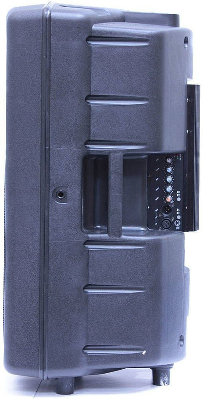 Soundking FP215A-1 Kenya side and rear view showing carry handle, amplifier module and cabinet depth