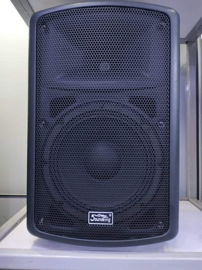 Soundking FP215A-1 Kenya front grille view showing dual woofer layout and Soundking badge, studio setting
