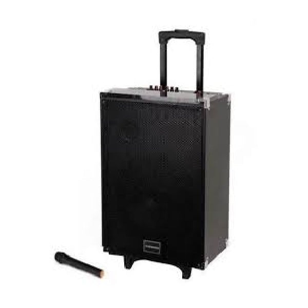 TAGWOOD LTS-12A trolley speaker Kenya with retractable handle extended and wireless mic beside it on white background