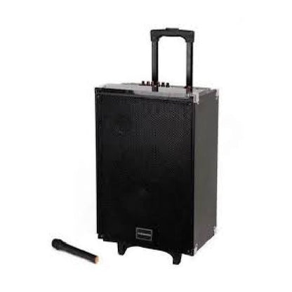 TAGWOOD LTS-12A trolley speaker Kenya with retractable handle extended and wireless mic beside it on white background