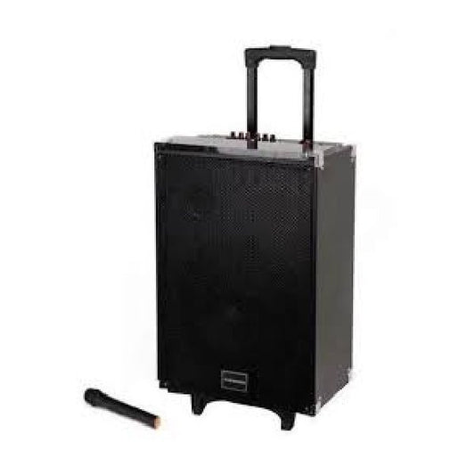 TAGWOOD LTS-12A trolley speaker Kenya with retractable handle extended and wireless mic beside it on white background