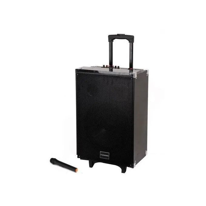 TAGWOOD LTS-15A trolley speaker Kenya — full front view with wireless microphone on white background