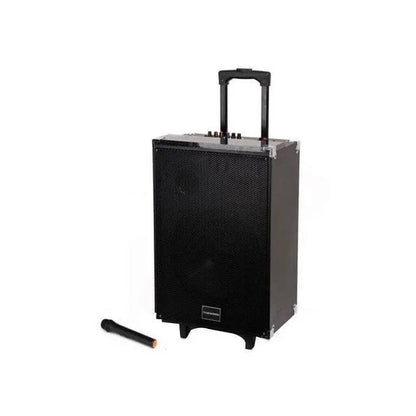 TAGWOOD LTS-15A trolley speaker Kenya — full front view with wireless microphone on white background
