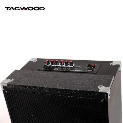 TAGWOOD LTS-15A trolley speaker Kenya — close-up top panel showing control knobs and Tagwood branding
