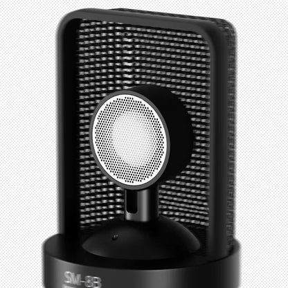 Takstar SM-8B Condenser Studio Microphone for Vocals Recording, Live-Streaming, and YouTube Videos