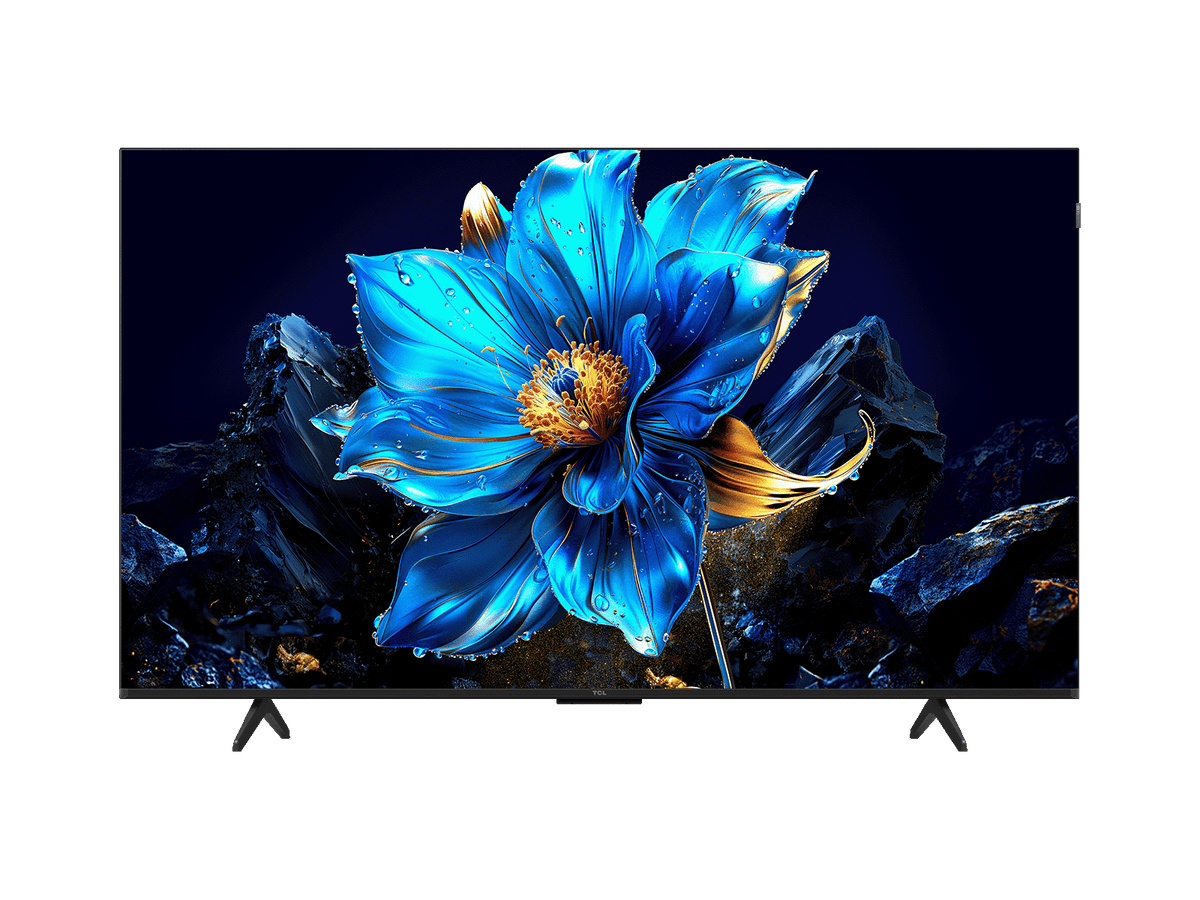 view of TCL 55T6C QLED TV Kenya displaying vivid blue floral artwork on a 55-inch 4K panel with slim bezels