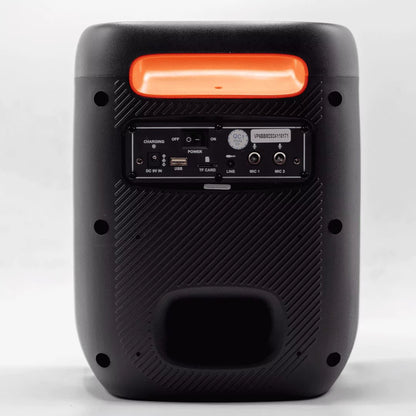 Vision Plus BeatBox Mini Kenya rear panel showing USB, TF card, dual mic inputs and DC charging port