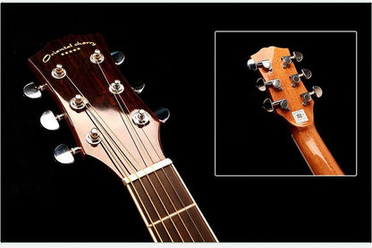 40/41 Inch Acoustic Guitar - Walnut Steel-String Folk Guitar